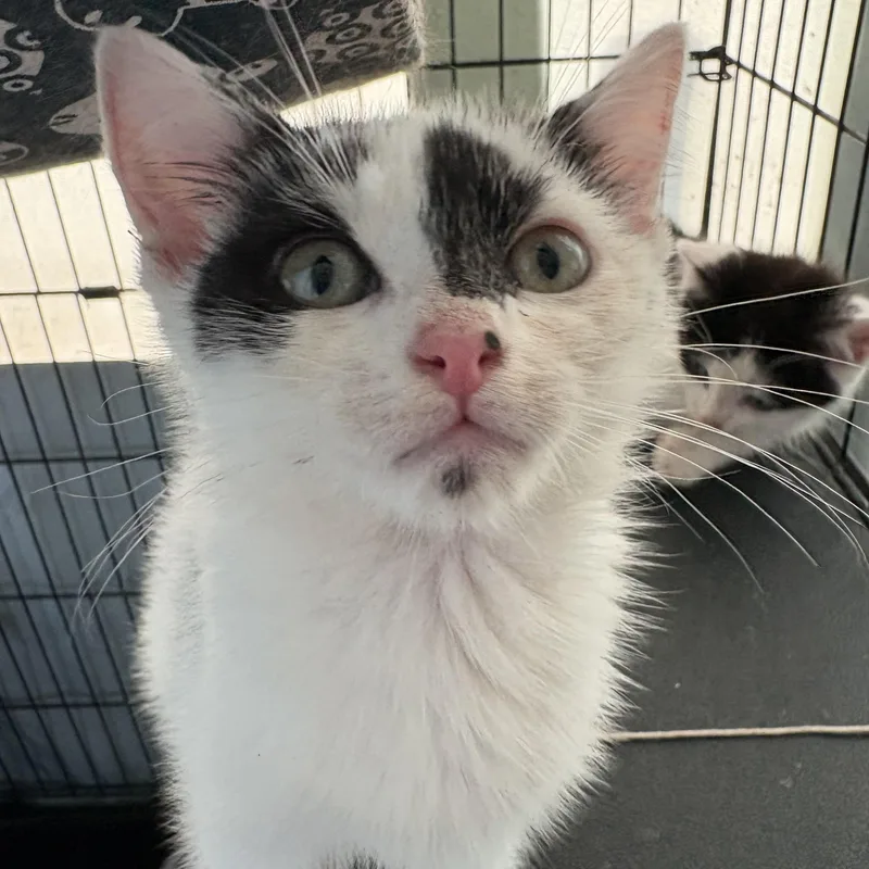 Betty White & Beau thumbnail 5