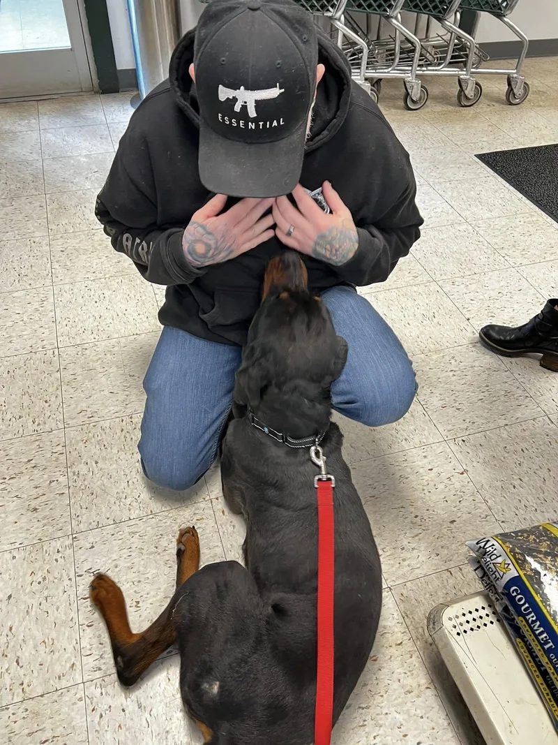 Nova Two thumbnail 4