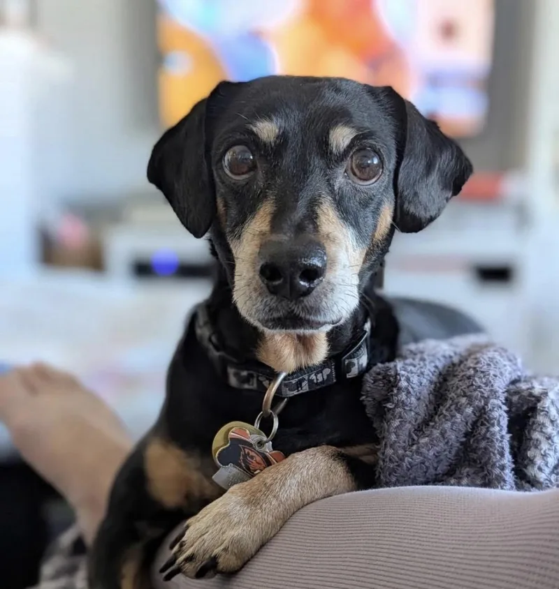 Flynn