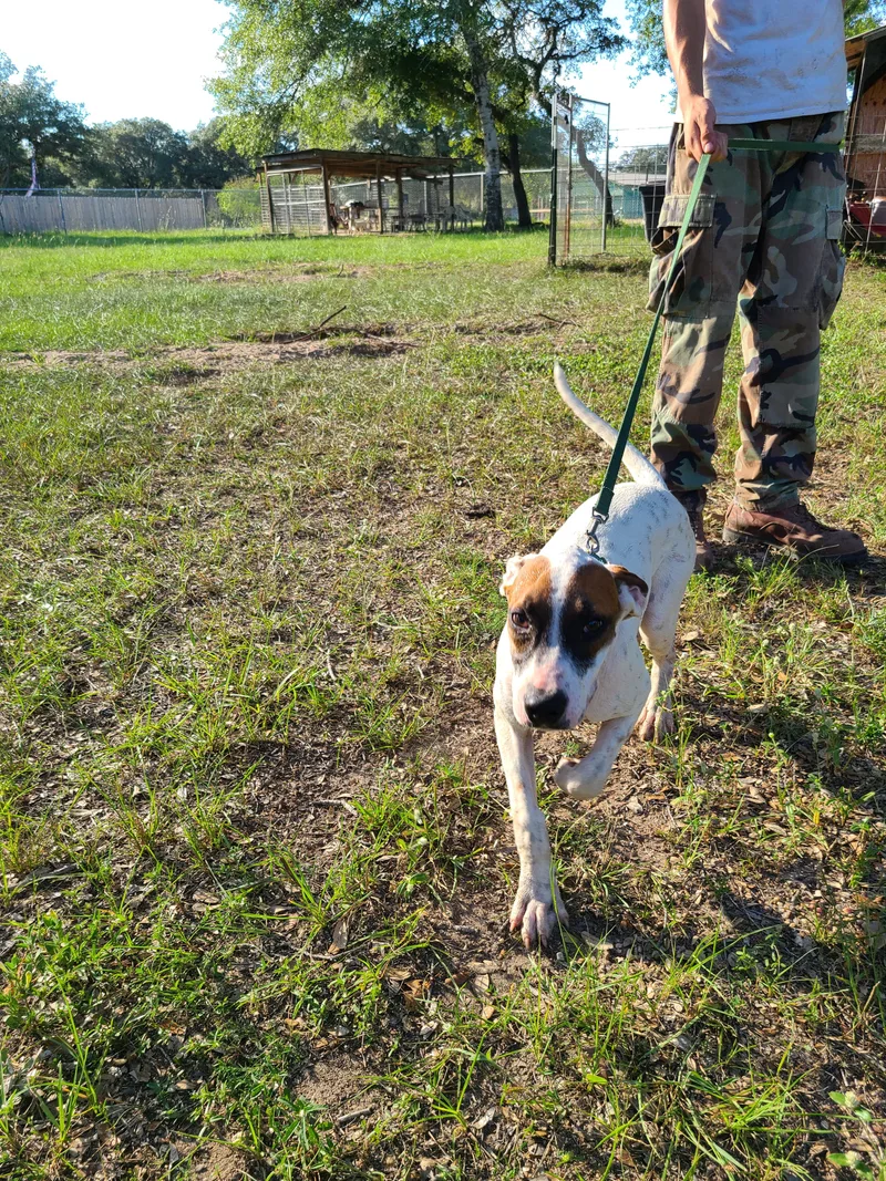 Genevieve thumbnail 2