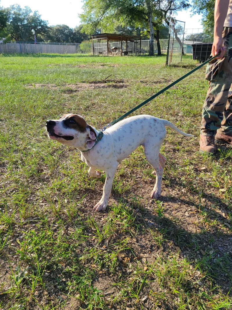 Genevieve thumbnail 3