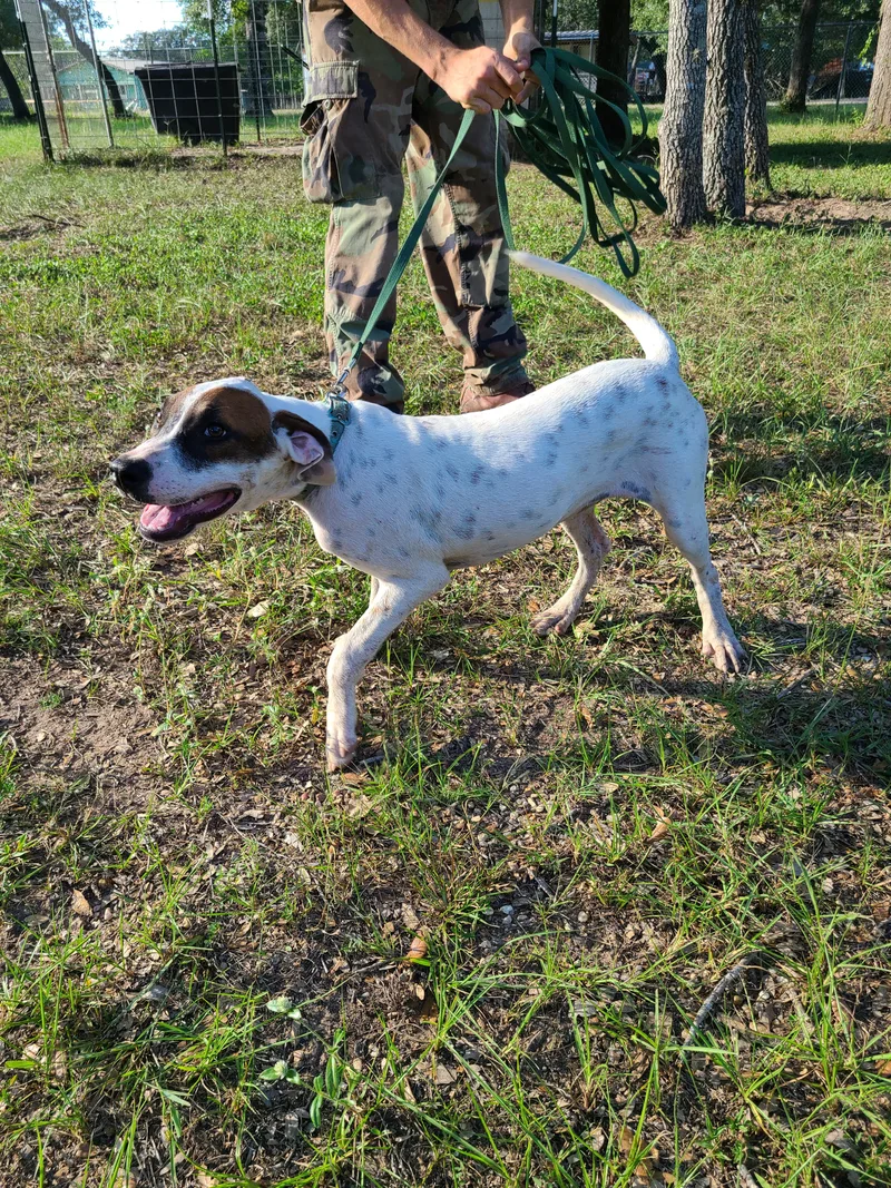 Genevieve thumbnail 4