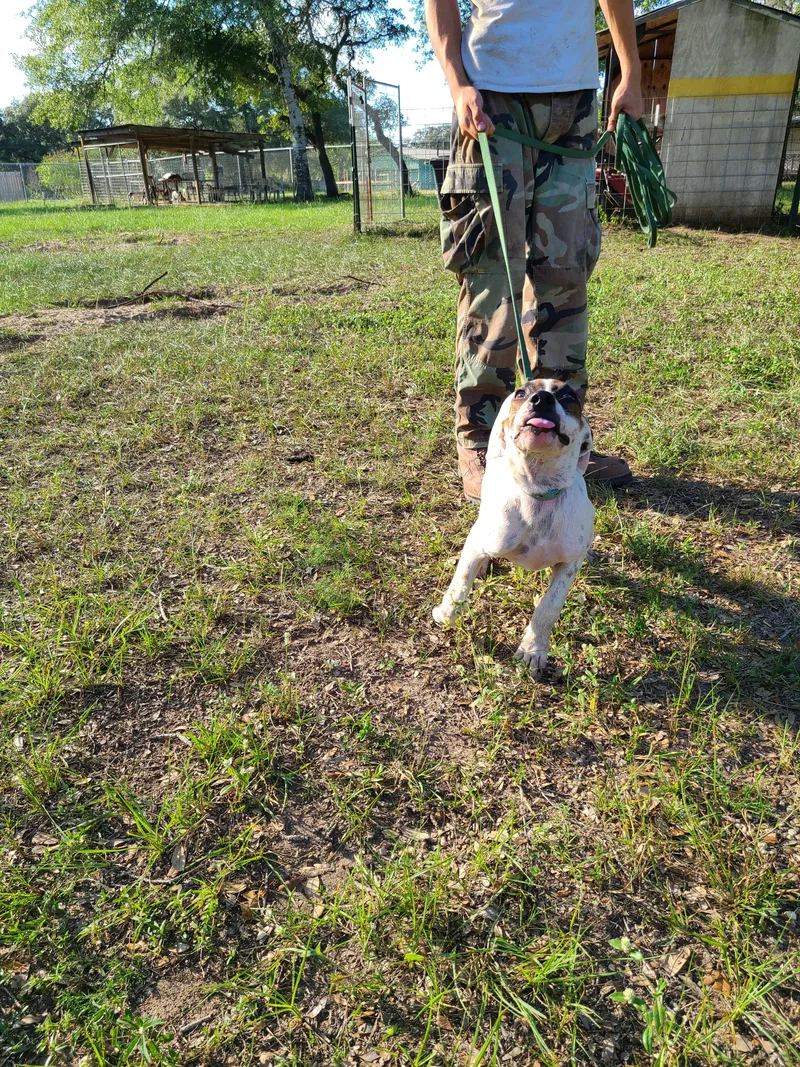 Genevieve thumbnail 5