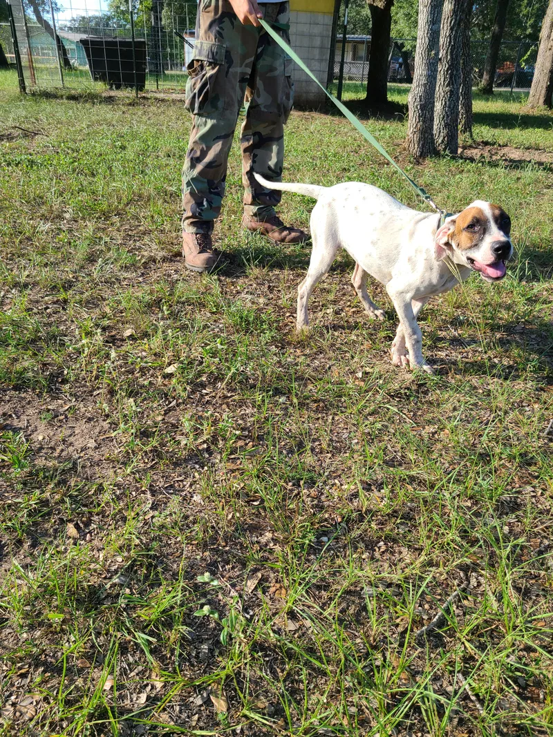 Genevieve thumbnail 6