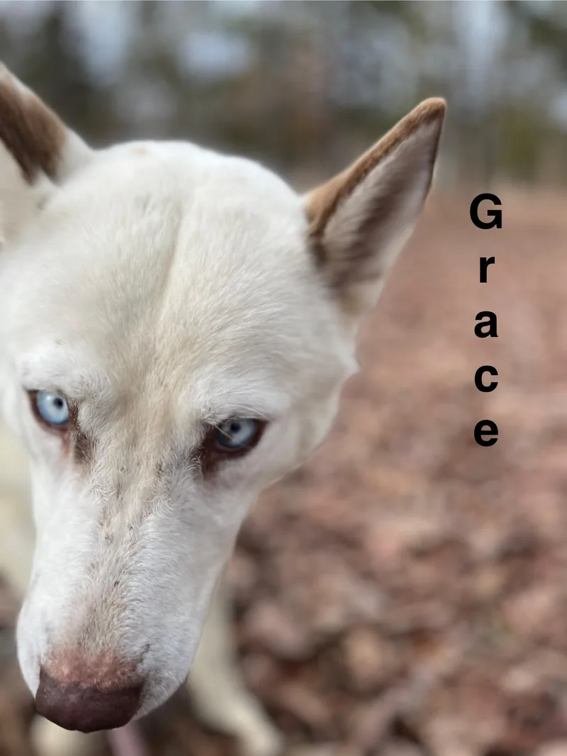 Grace thumbnail 3