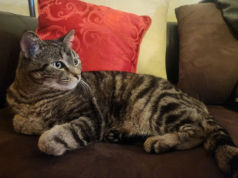 Neighbor thumbnail 2