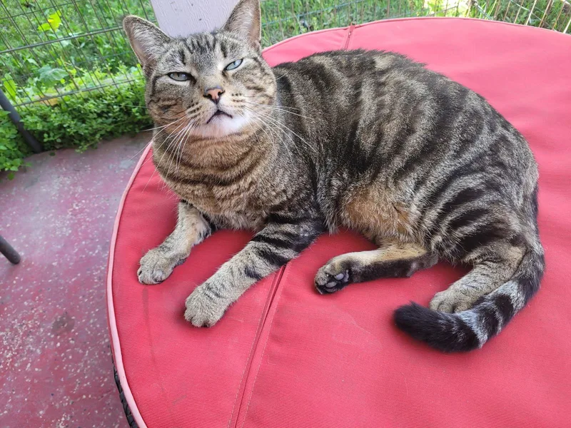 Neighbor thumbnail 3