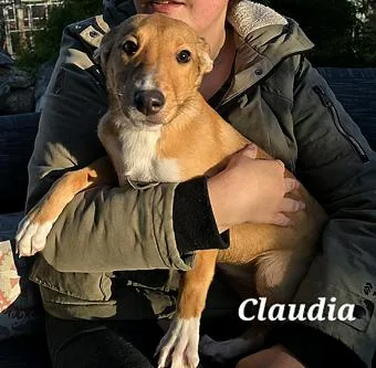 Claudia