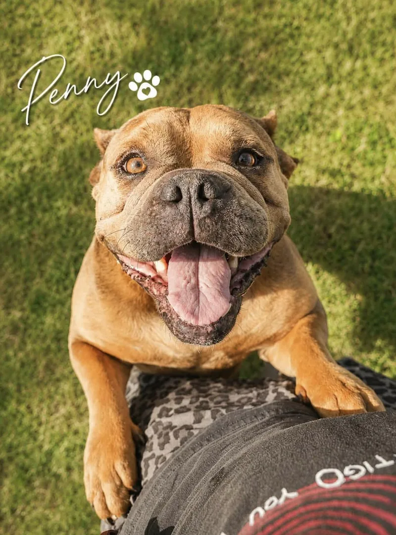 Penny