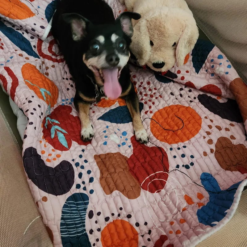 Gracie