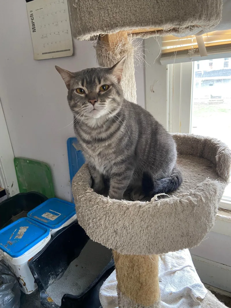 Dannilynn thumbnail 2