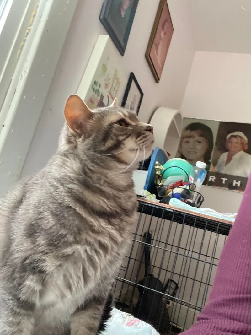 Dannilynn thumbnail 3