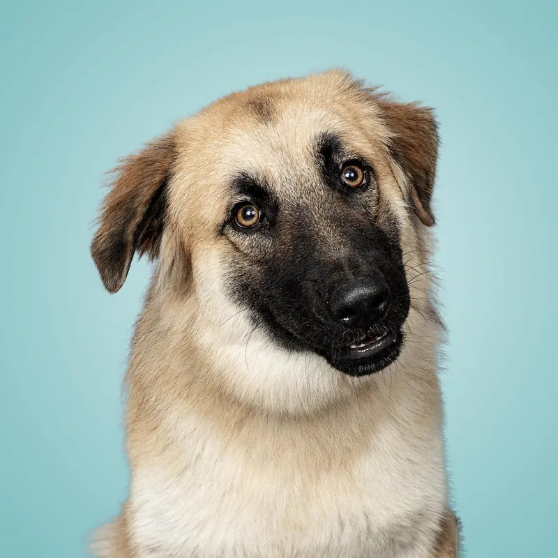 Ruby Houston  Tx thumbnail 2