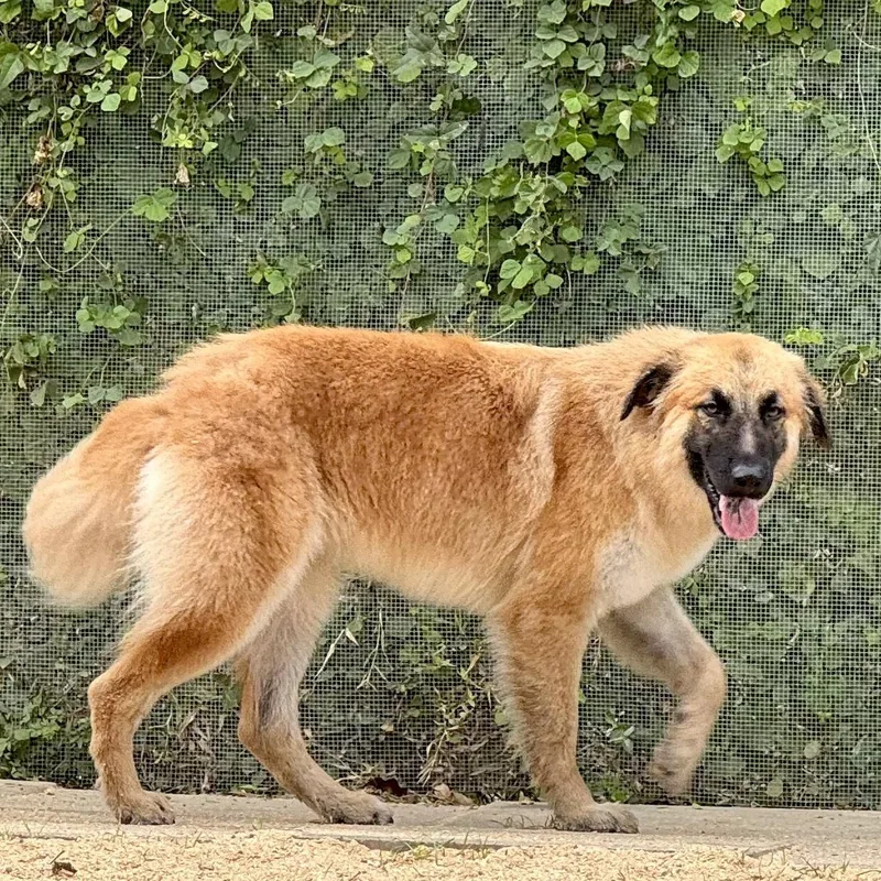 Ruby Houston  Tx thumbnail 3