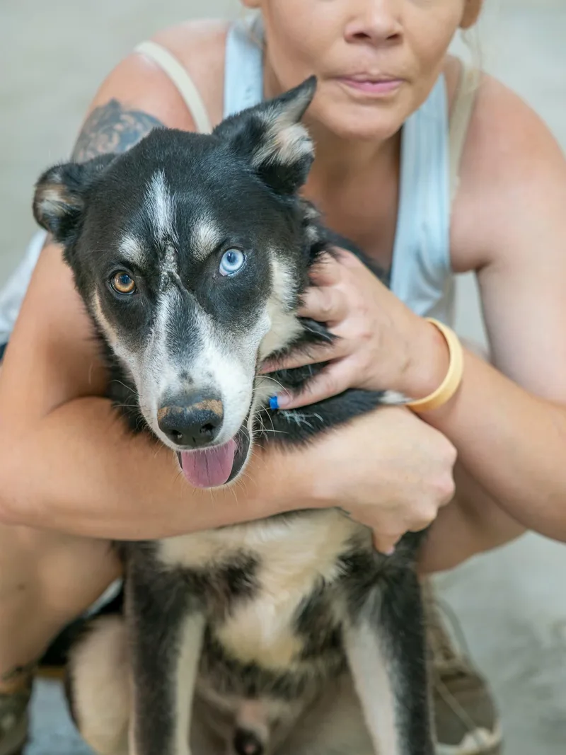 Loki