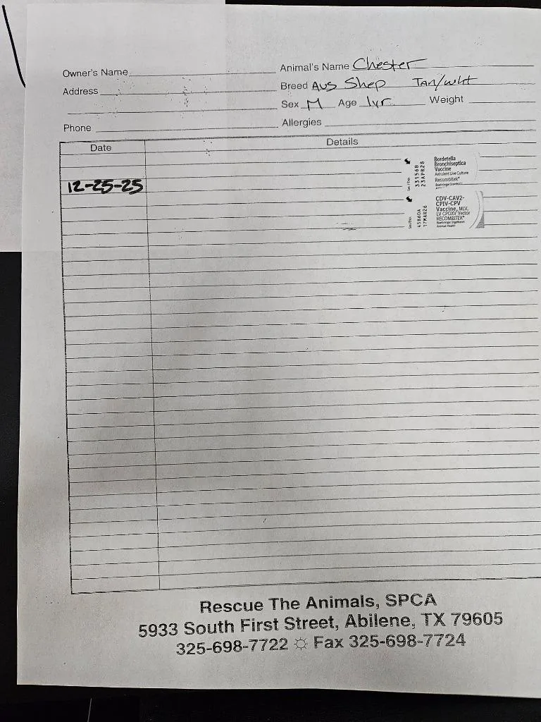 Chester $ thumbnail 2