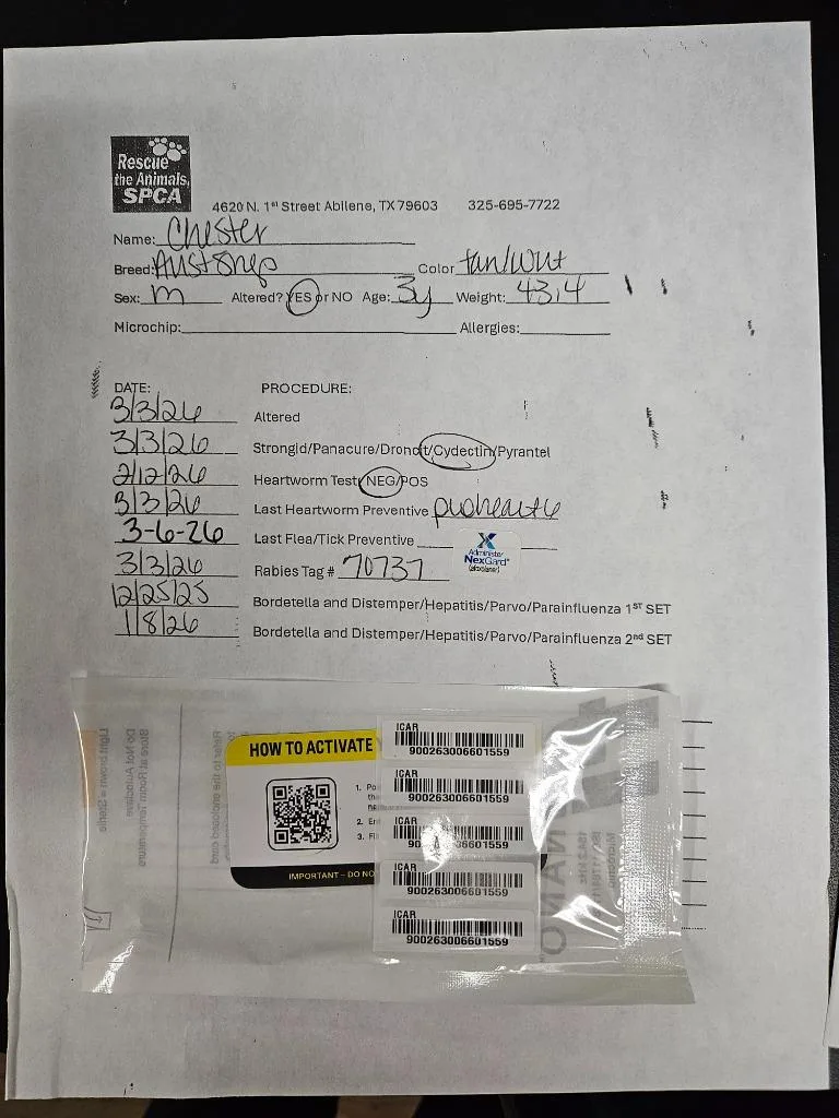 Chester $ thumbnail 4