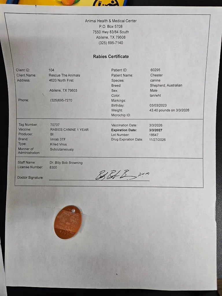 Chester $ thumbnail 5