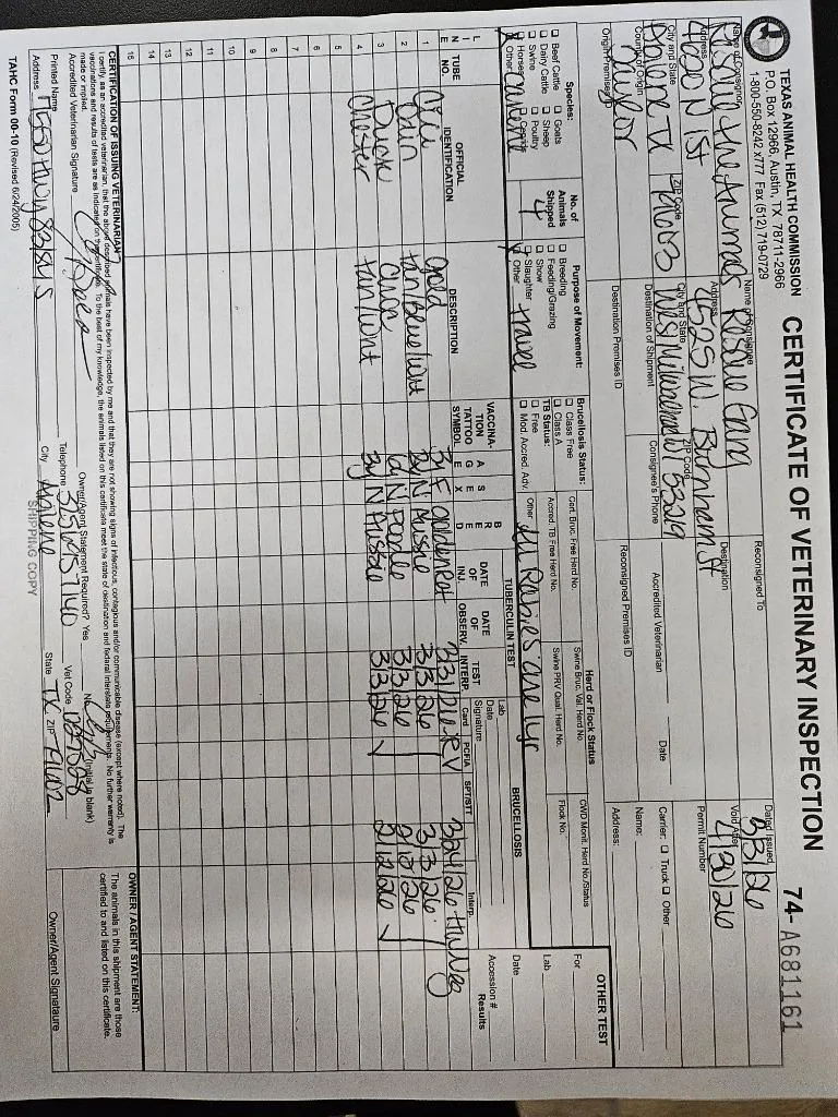 Chester $ thumbnail 6