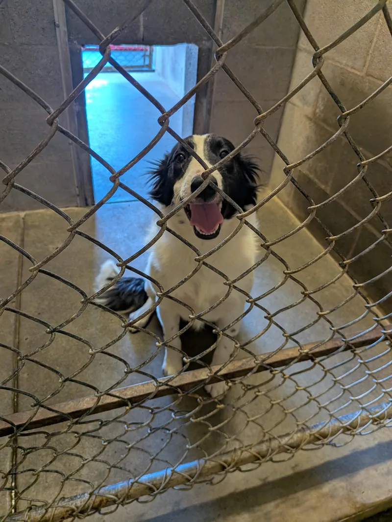 Max