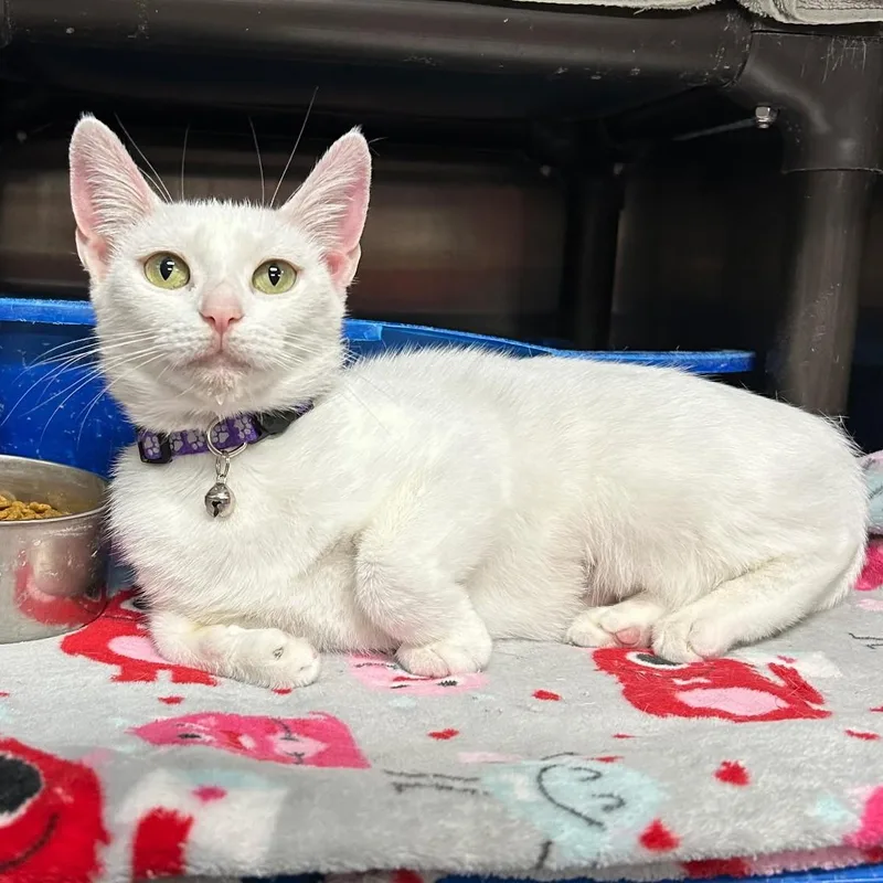 Winterely thumbnail 2