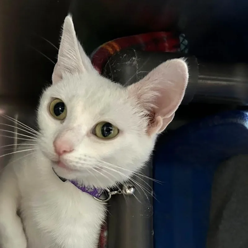 Winterely thumbnail 3