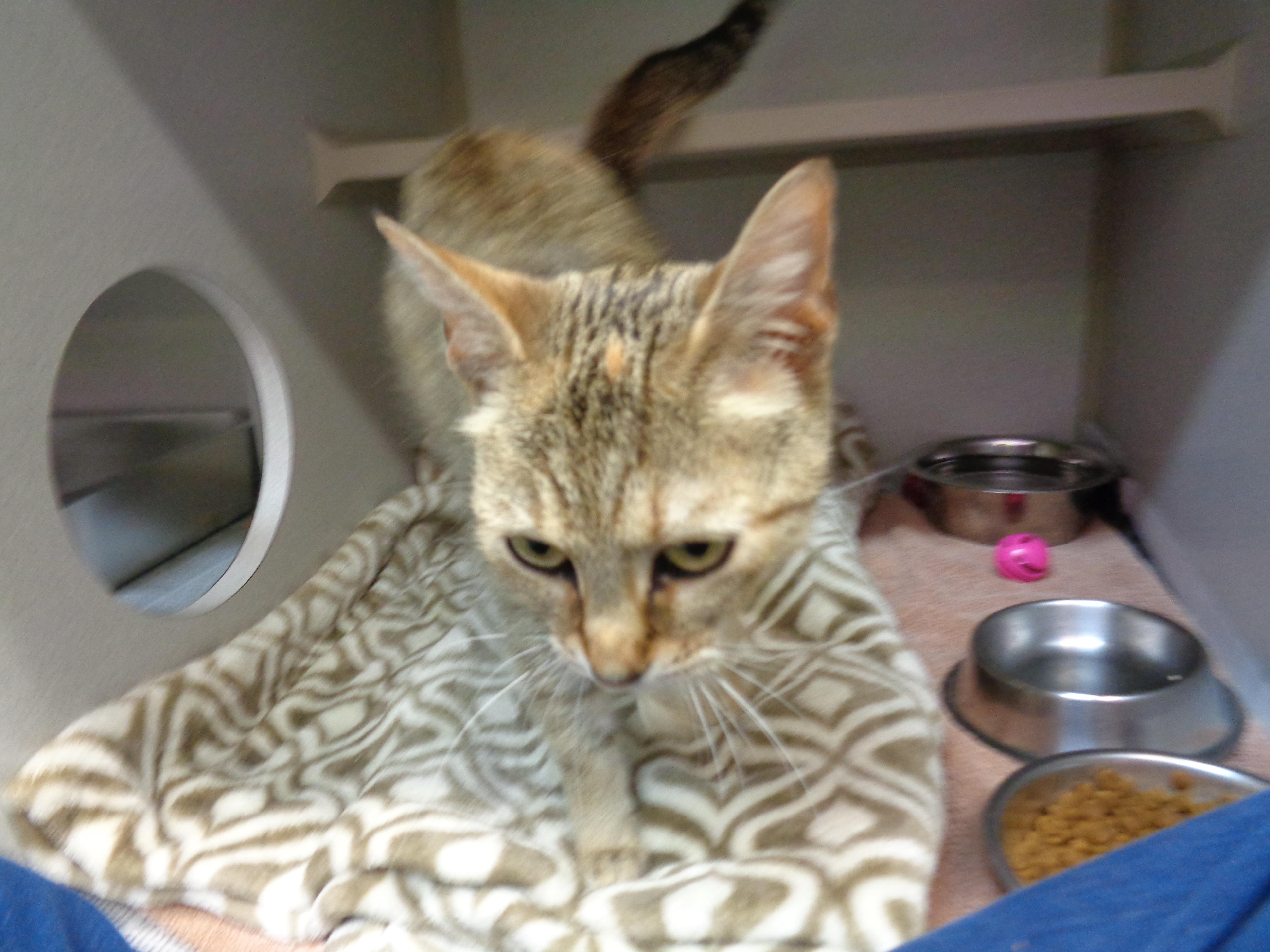 Lucy Lou thumbnail 6