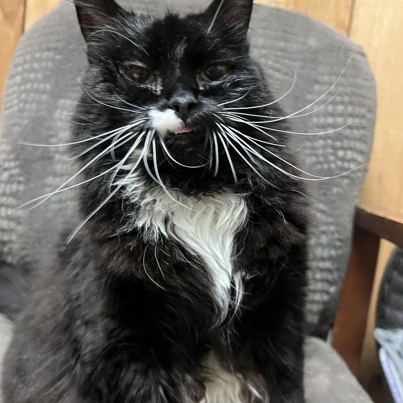 Salem