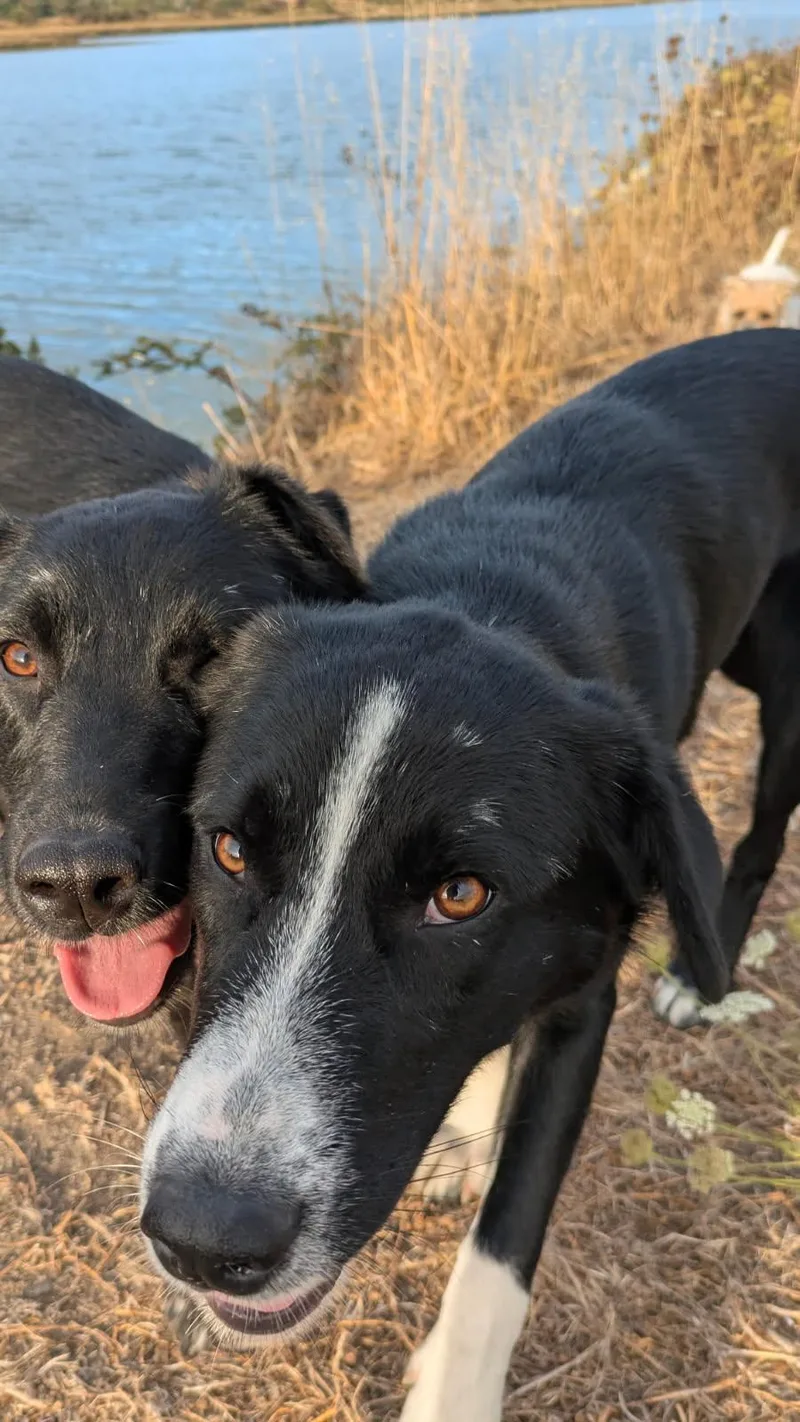 Pippa and Patsy