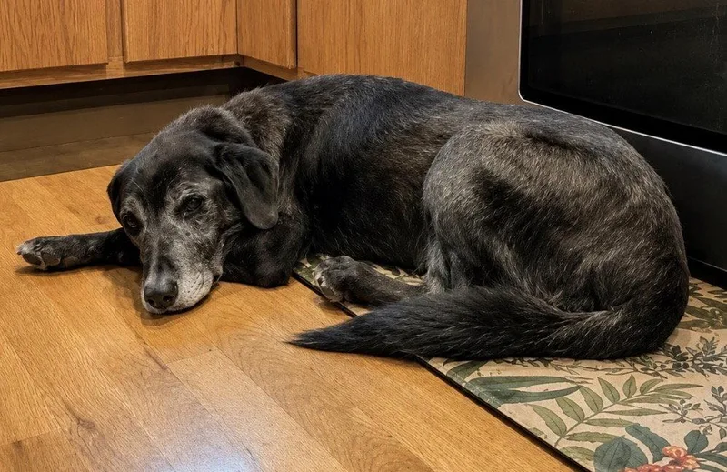 Sam