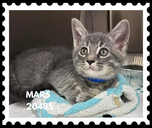Mars thumbnail 2
