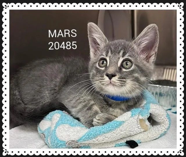Mars thumbnail 3