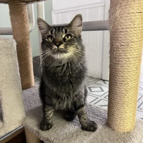 Sofia