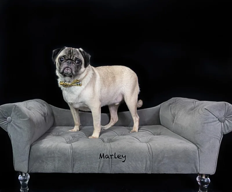Marley thumbnail 2
