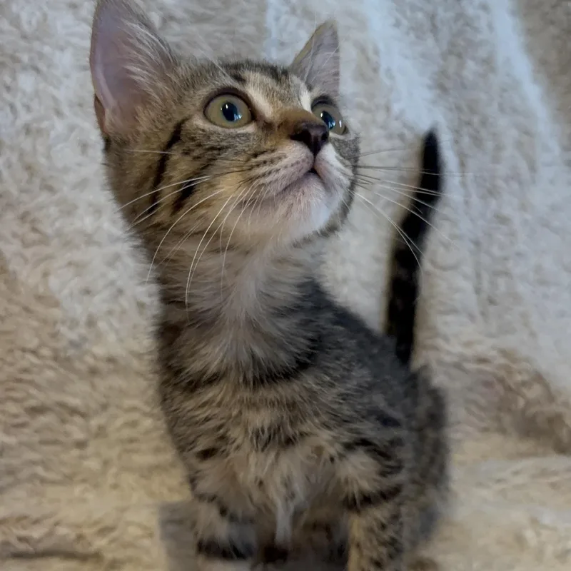 Chloe thumbnail 3