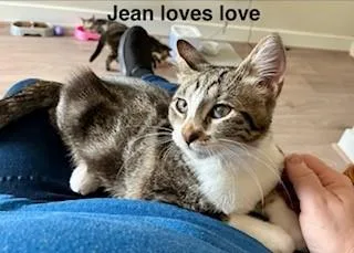 Jean thumbnail 3