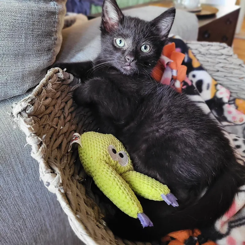 Topanga & Clarissa thumbnail 3