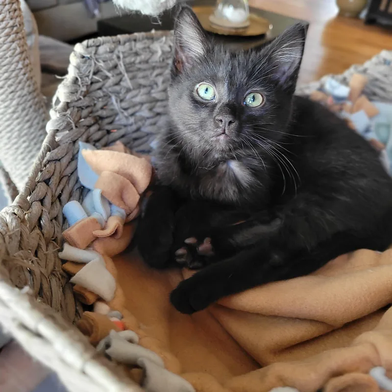 Topanga & Clarissa thumbnail 5