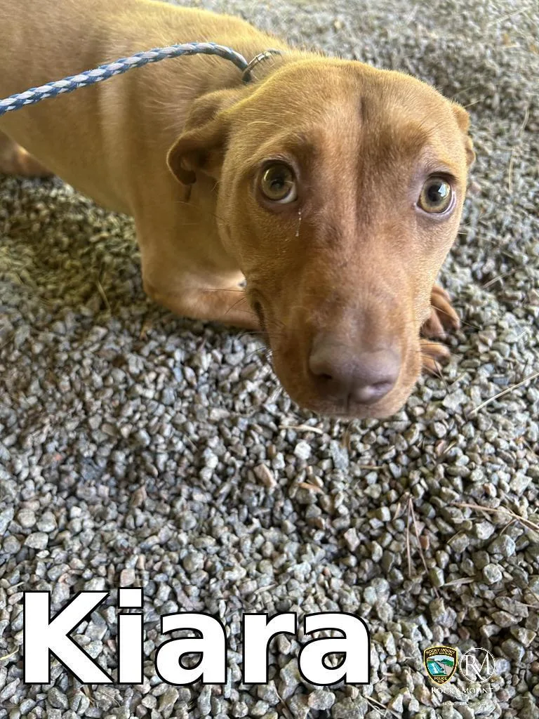 Kiara