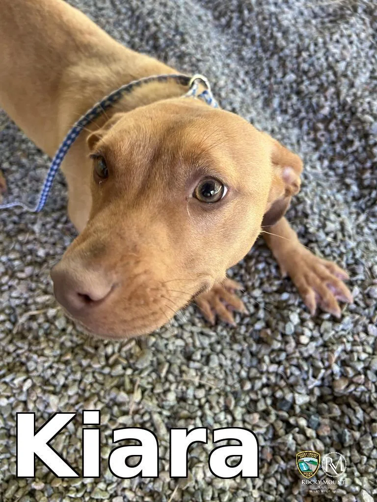 Kiara thumbnail 2