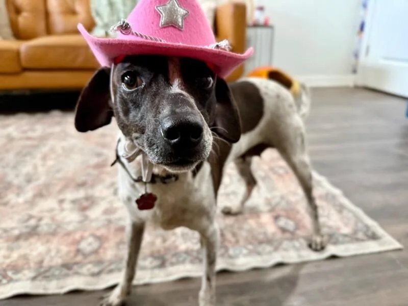 Piper Pepper Girly thumbnail 4
