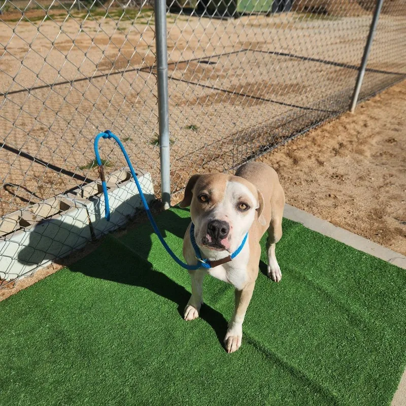 Garrison thumbnail 2