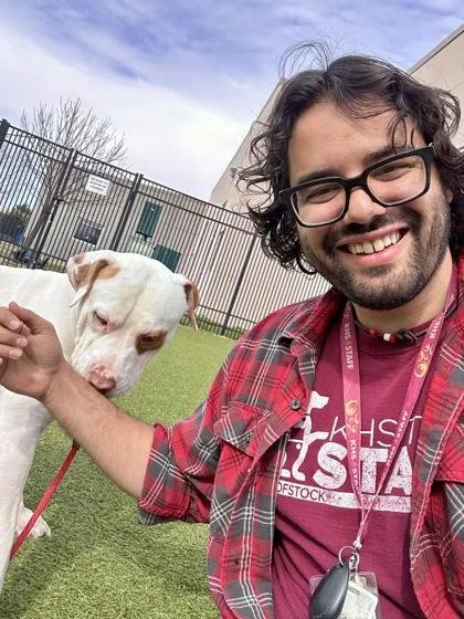 A young large-sized male White / Cream Mixed Breed dog named Diamond for adoption in Wichita, KS