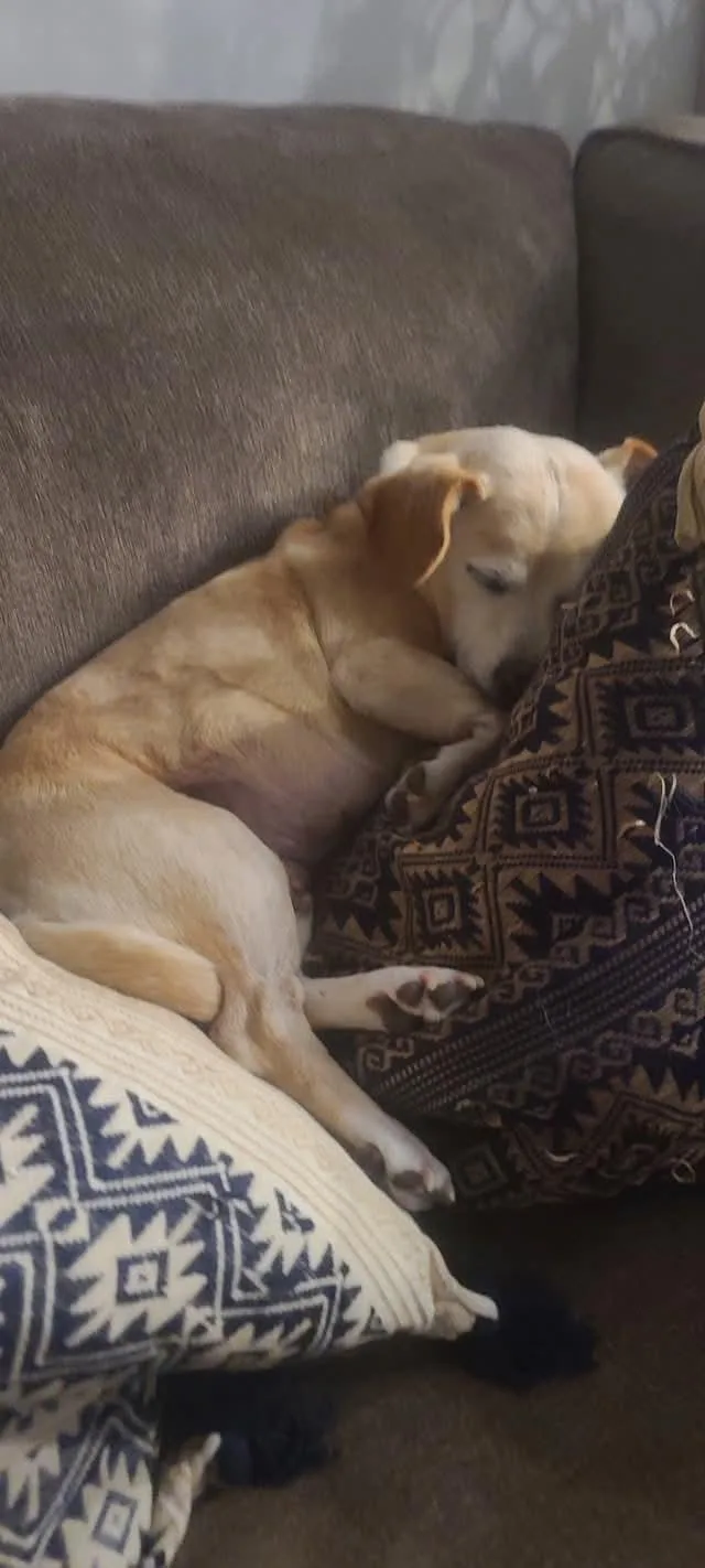 Cleo thumbnail 3