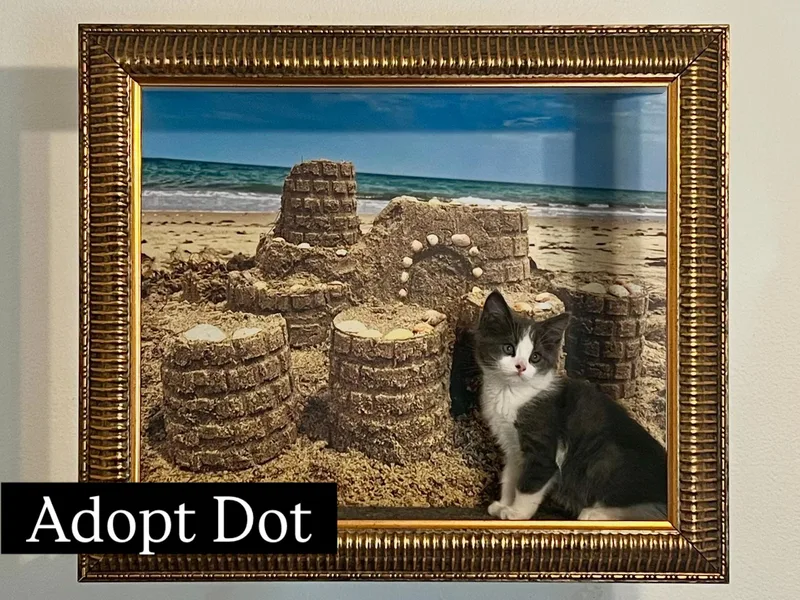 Dot thumbnail 2
