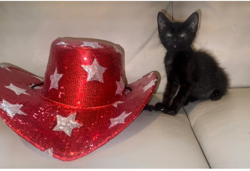 Mcgraw thumbnail 5