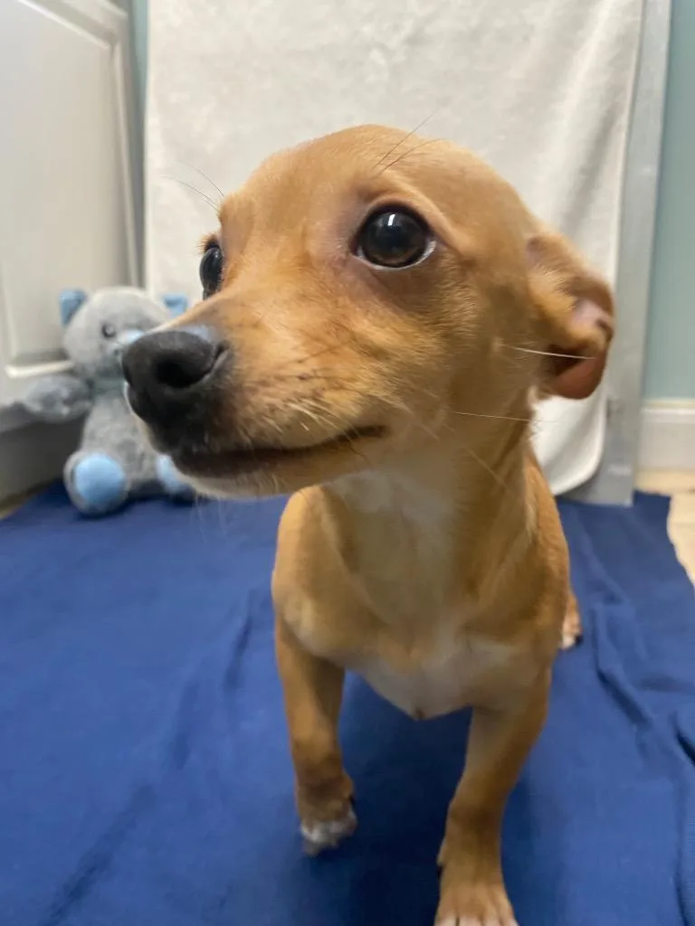 Bombay Sapphire thumbnail 3