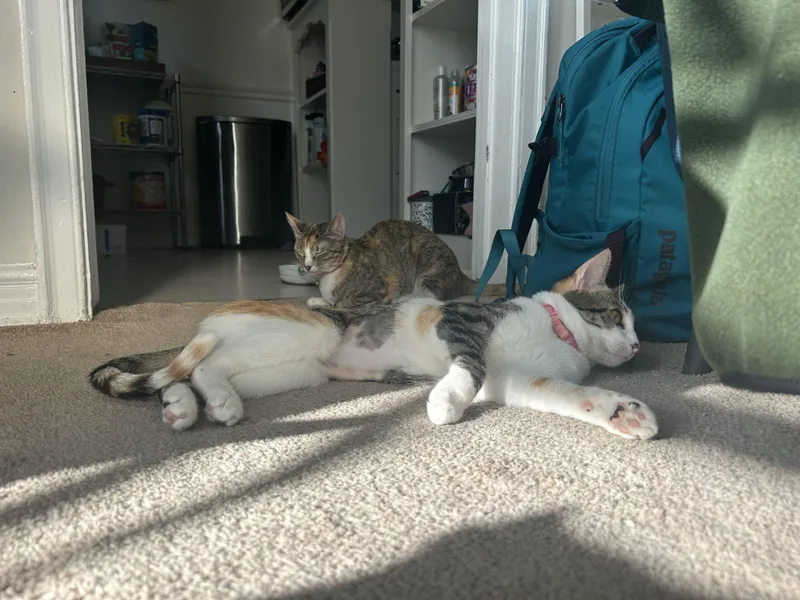 Mimi and Sunni thumbnail 4