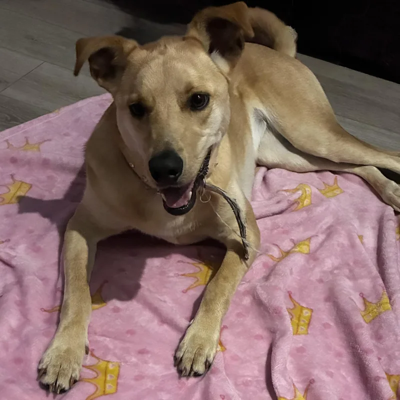 Maggie