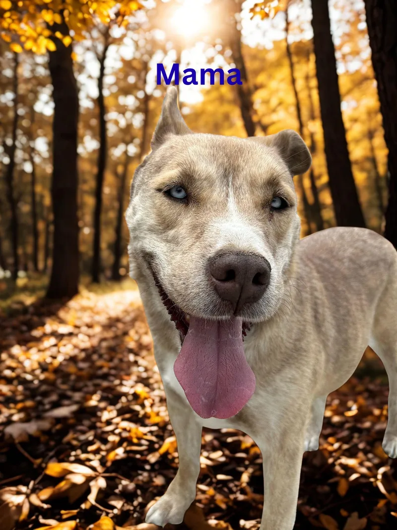 Mama